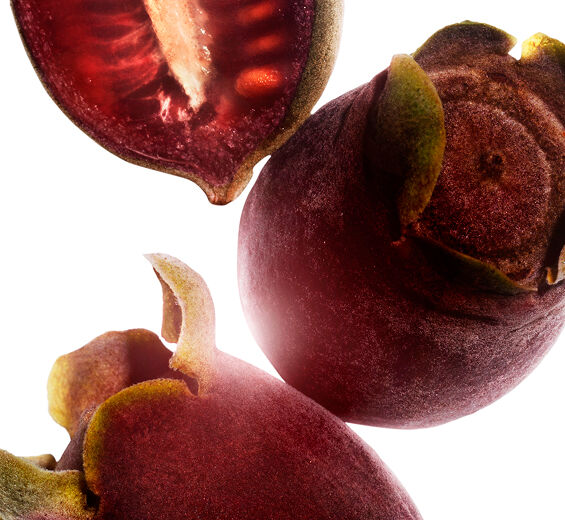 Rose-Myrtle-Rose-Myrtle-Extrakt-Rhodomyrtus tomentosa fruit extract
