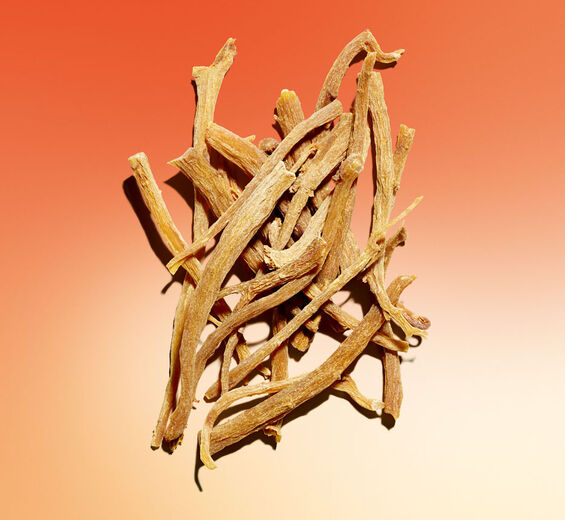 Ginseng-Biologischer Extrakt aus Rotem Ginseng-Panax ginseng root extract