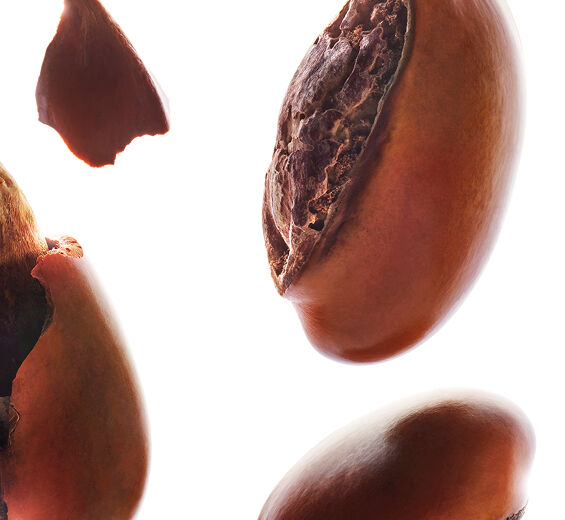 Sheabaum-Unverseifbarer Anteile der Shea (Pflanze aus biologischem Anbau)-Butyrospermum parkii (shea) butter