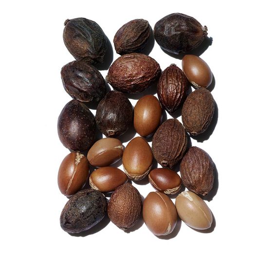 Arganbaum-Biologisches Arganöl-Argania spinosa kernel oil