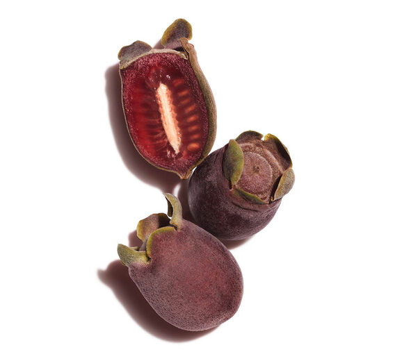 Rose-Myrtle-Rose-Myrtle-Extrakt-Rhodomyrtus tomentosa fruit extract