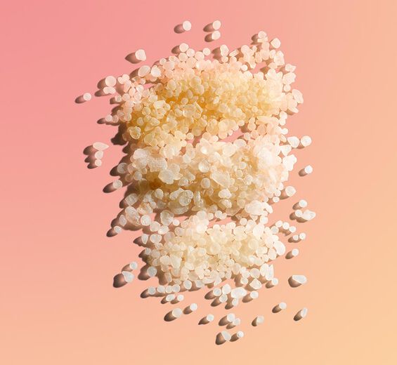 Mastixstrauch-Mastix-Extrakt-Pistacia lentiscus (mastic) gum