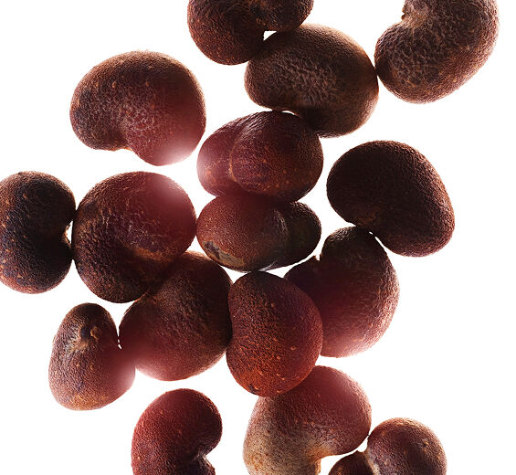 Affenbrotbaum-Affenbrotbaum- Extrakt-Hydrolyzed adansonia digitata extract