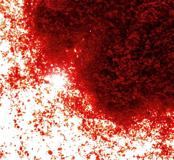 Paprika-Paprika-Extrakt-Capsicum annuum fruit extract