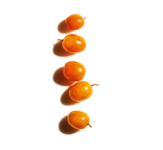 Sanddorn-Sanddorn-Extrakt (Pflanze aus biologischem Anbau)-Hippophae Rhamnoides Kernel Extract