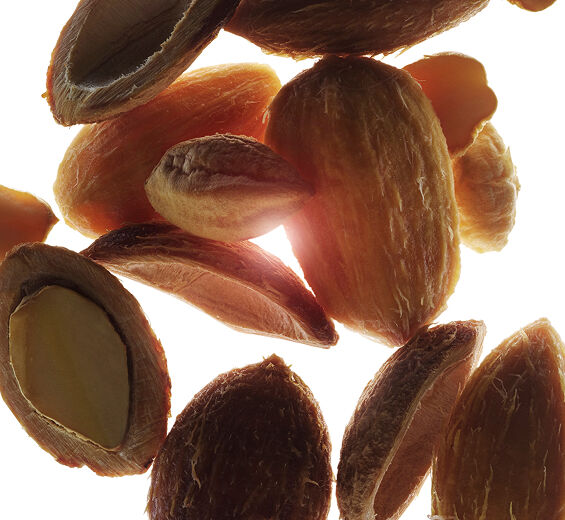 Wüstendattel-Biologischer Wüstendattel-Extrakt-Balanites roxburghii seed oil