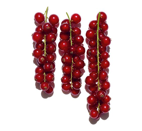 Rote Johannisbeere-Biologischer Extrakt aus Roter Johannisbeere-Ribes rubrum (currant) fruit extract