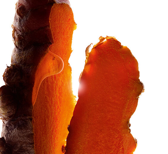 Kurkuma-Curcuma-Extrakt-Curcuma longa (turmeric) root extract