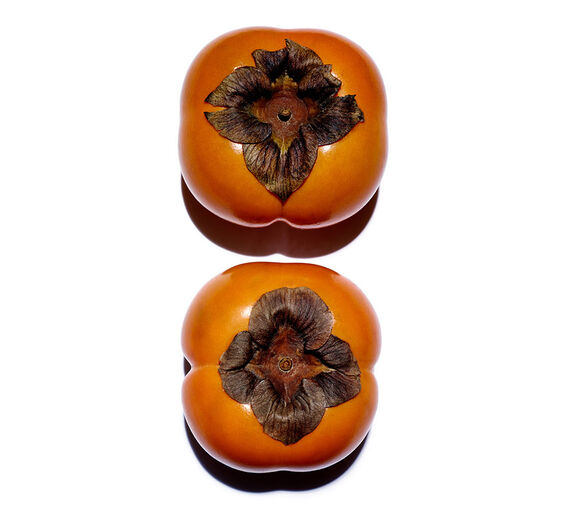 Kaki-Baum-Kaki-Extrakt-Diospyros kaki fruit extract