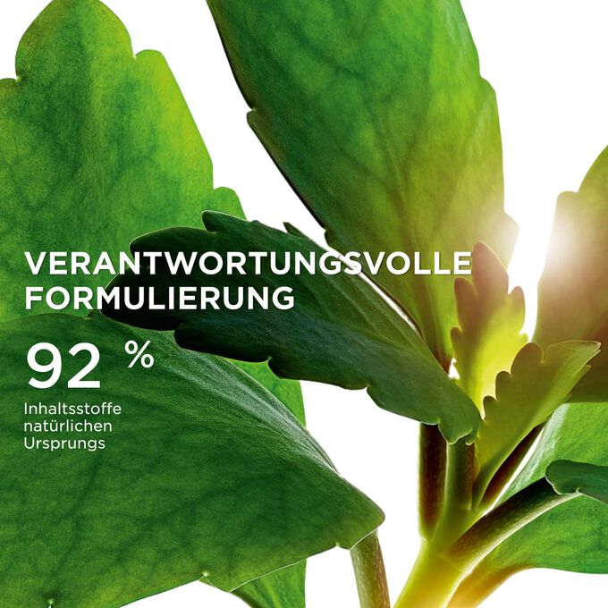 Fokus auf Bl&auml;tter, die die zu 96 % nat&uuml;rlichen Ursprungsstoffe der Precious-Linie f&uuml;r eine nachhaltige Hautpflegeformel veranschaulichen.
