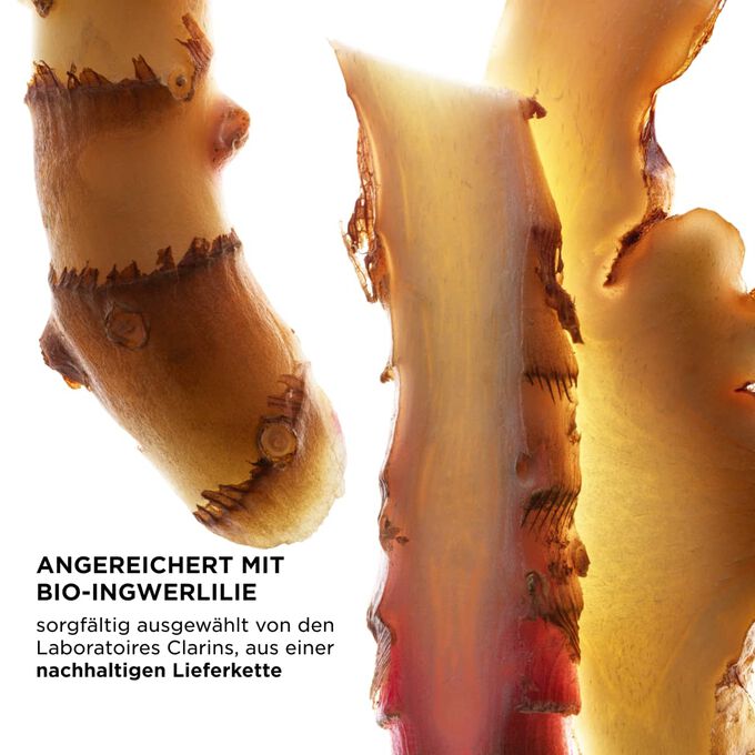 Fokus auf Ingwerscheiben, wodurch die Hauptinhaltsstoffe von UV Protect herausgestellt werden, die von den Laboratoires Clarins sorgf&auml;ltig ausgew&auml;hlt und nachhaltig bezogen wurden.