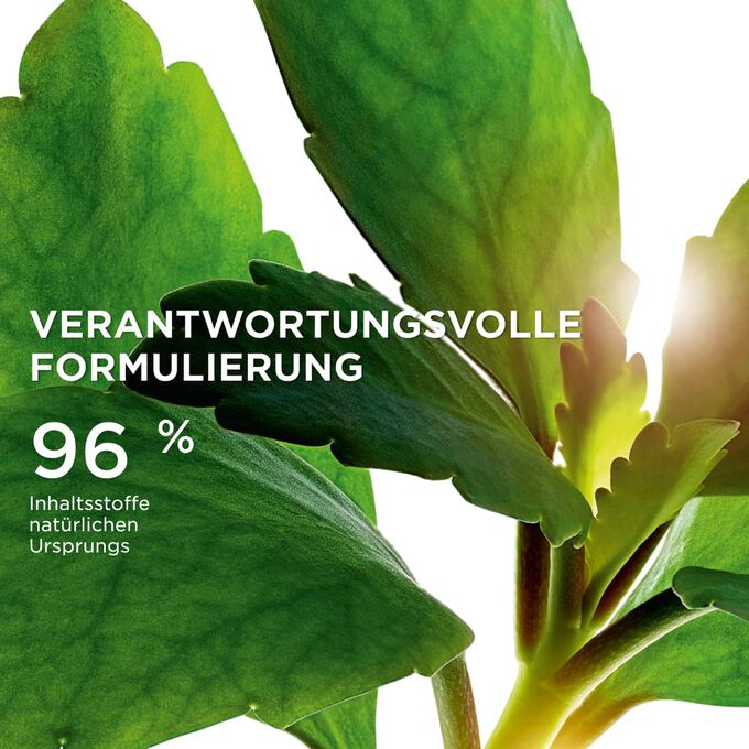 Fokus auf Bl&auml;tter, die die zu 96 % nat&uuml;rlichen Ursprungsstoffe der Precious-Linie f&uuml;r eine nachhaltige Hautpflegeformel veranschaulichen.