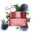 Multi-Active Nuit - Gl&auml;ttende Nachtcreme - F&uuml;r trockene Haut 30+