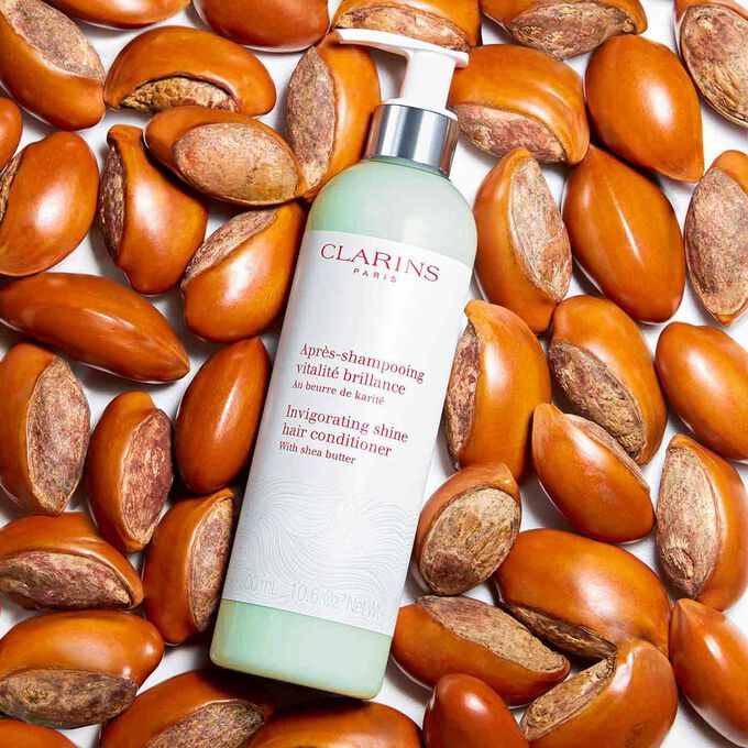 Shine Conditioner - Haarspülung für mehr Glanz