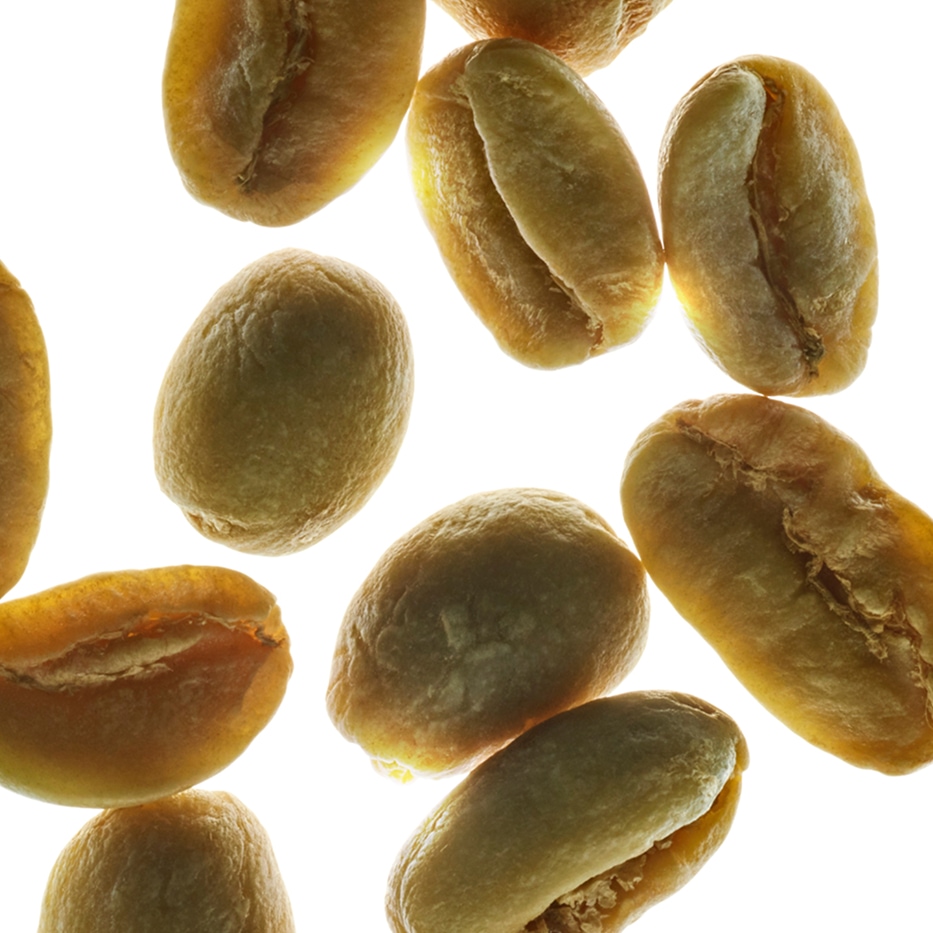 Arabica-Kaffeestrauch-Pflanzliches Koffein-Caffeine