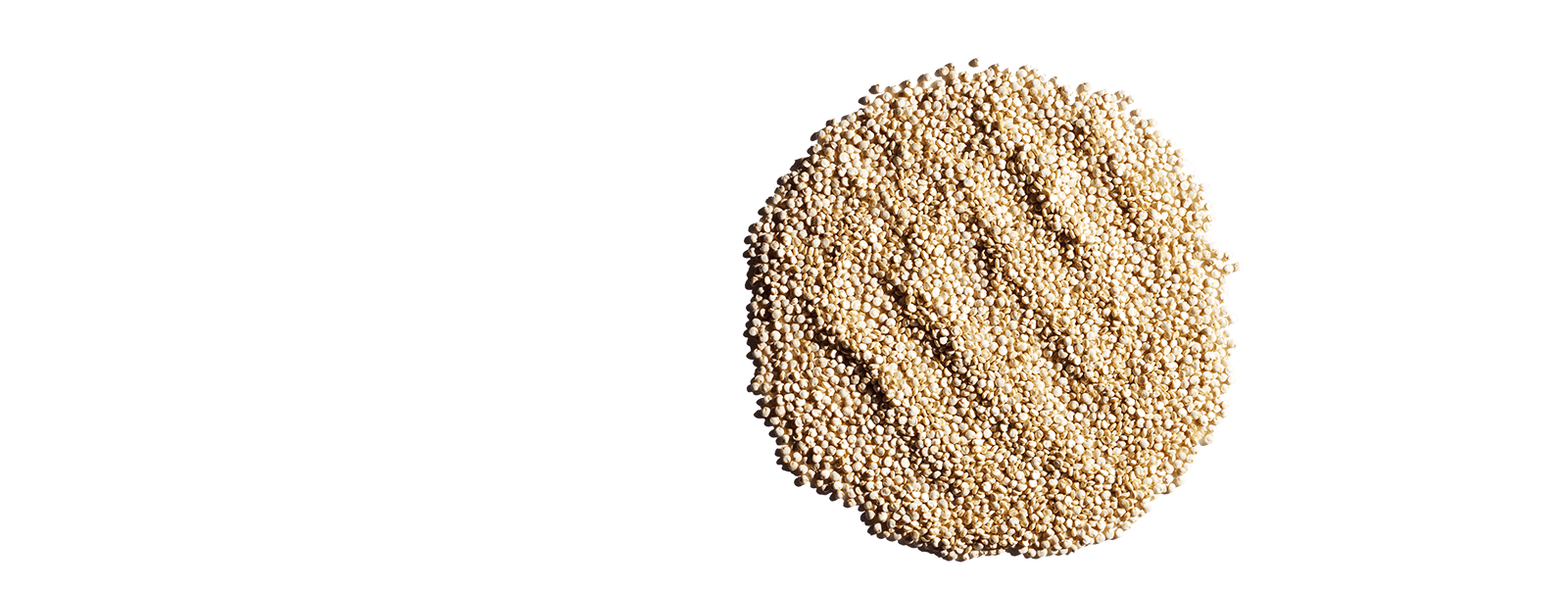Biologischer Quinoa