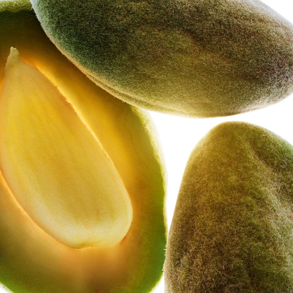 Mandelbaum-Biologisches S&uuml;&szlig;mandel&ouml;l-Prunus amygdalus dulcis (sweet almond) oil