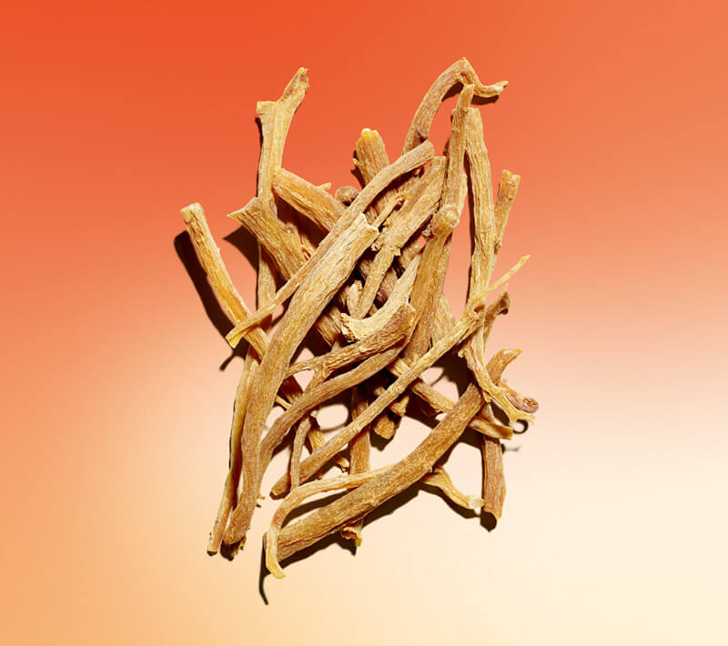 Welche Eigenschaften bringt roter Ginseng mit sich?