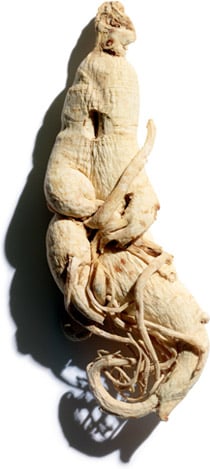 Ginseng