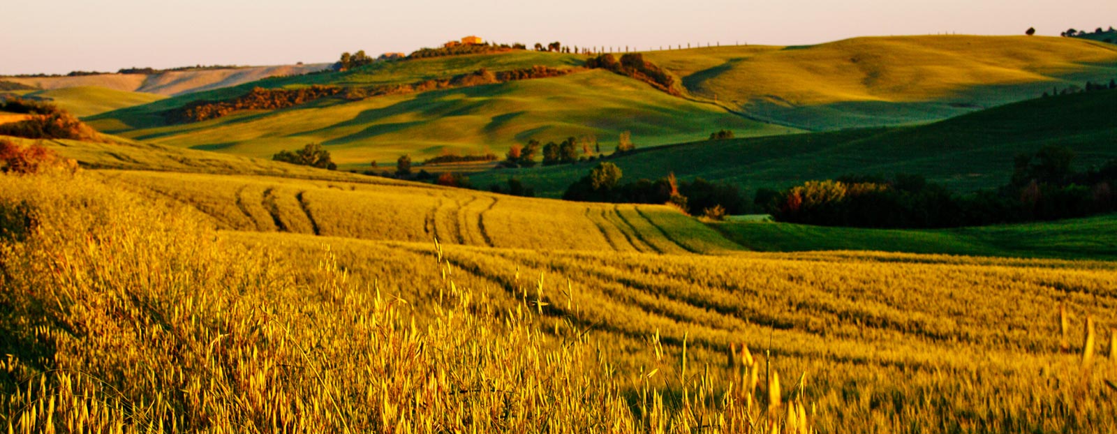 Ideal für eine straffe Haut