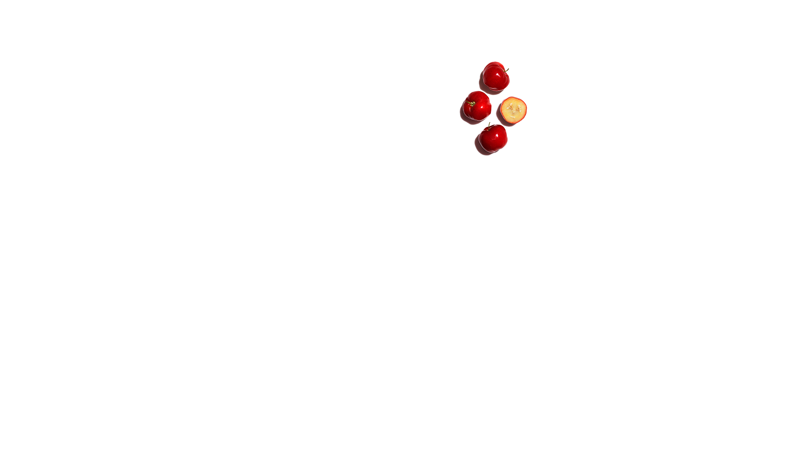 Acerola-Samen