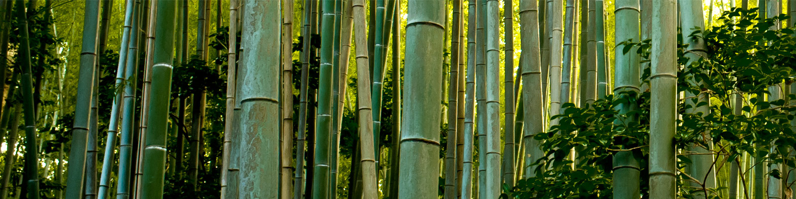 Nächstes Ziel: Weiterreisen