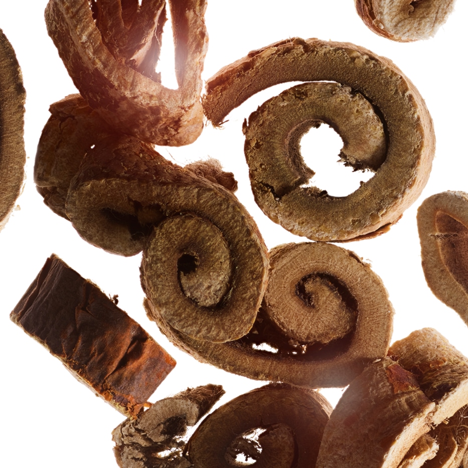 Wei&szlig;er Maulbeerbaum-Biologischer wei&szlig;er Maulbeerbaum-Extrakt-Morus alba root extract